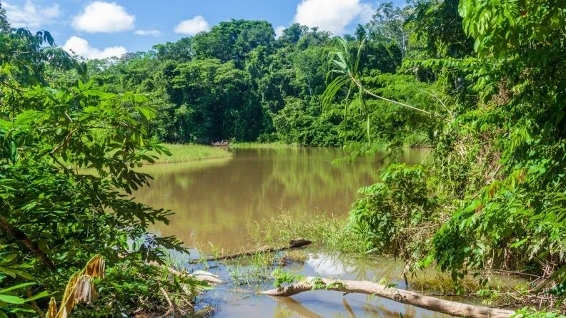 Naturaleza en Madidi, Bolivia