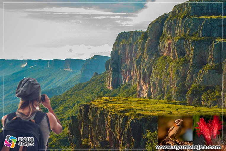 Reserva-Municipal-de-Vida-Silvestre-Valle-de-Tucabaca-Roboré
