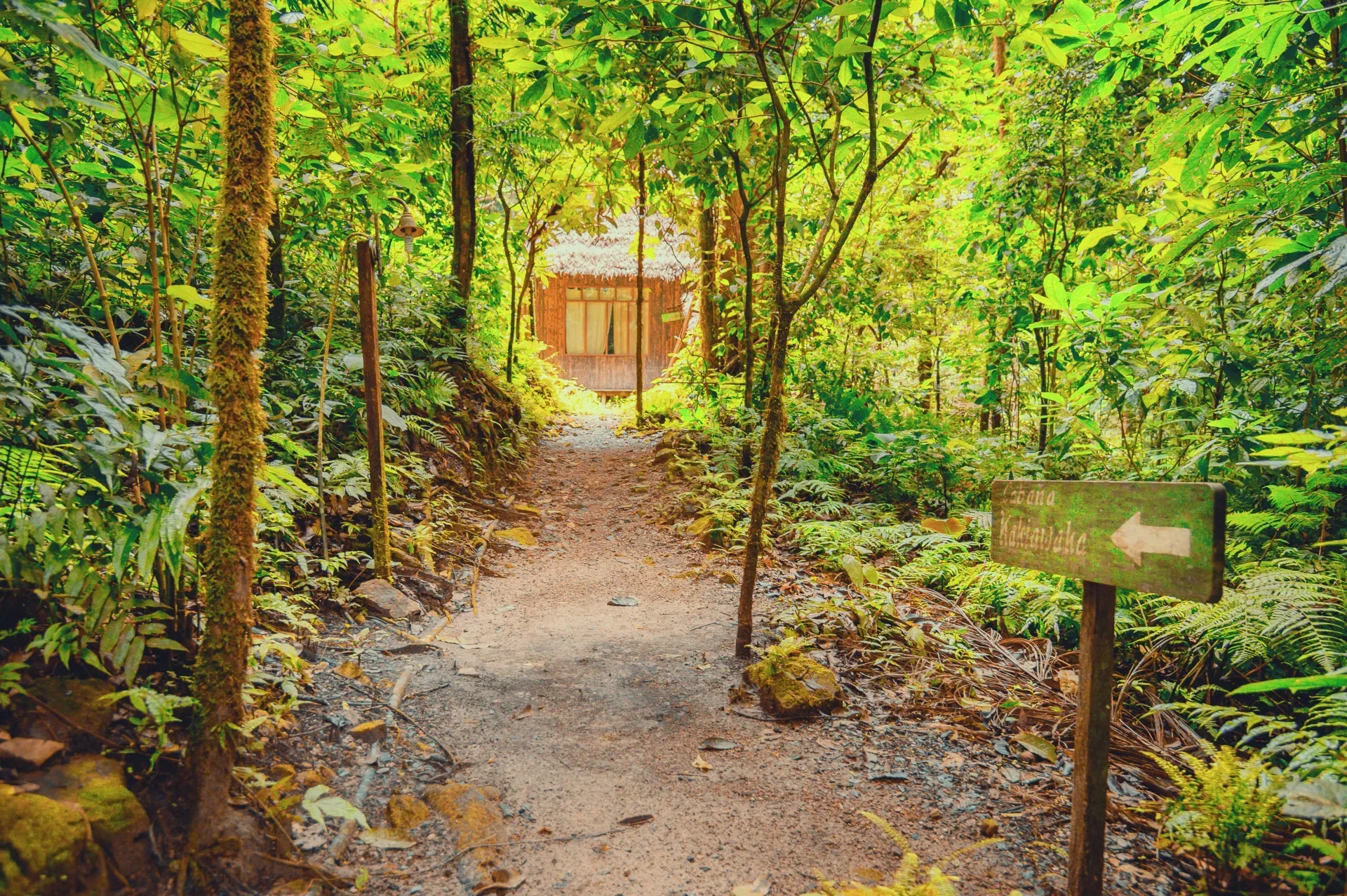 TOUR MADIDI 4 DÍAS