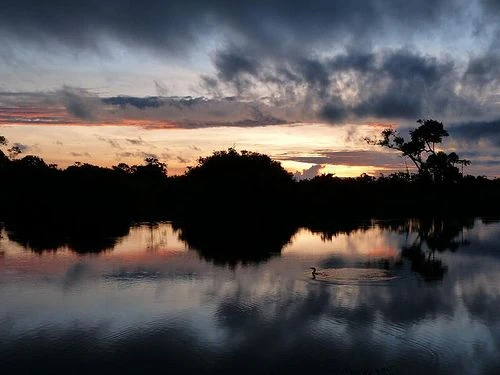 TOUR MADIDI Y PAMPAS DE YACUMA 5 DÍAS