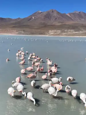 TOUR SALAR DE UYUNI 3 DIAS